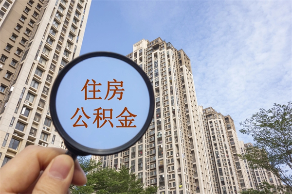 临沂个人公积金去哪儿取（住房公积金个人到哪里提取）